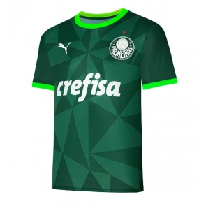 Palmeiras Domaci Dres 2023-24 Kratak Rukavima